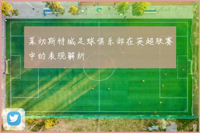 莱切斯特城足球俱乐部在英超联赛中的表现解析